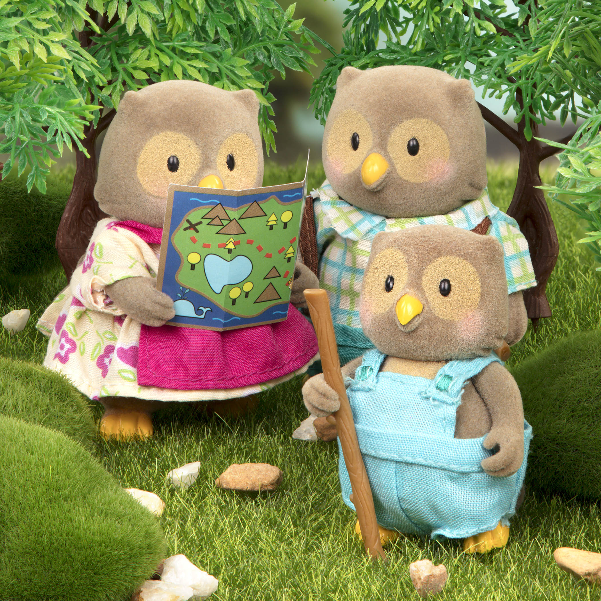 WhoosWhoo Owl Family