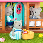 Canberra Koala Family