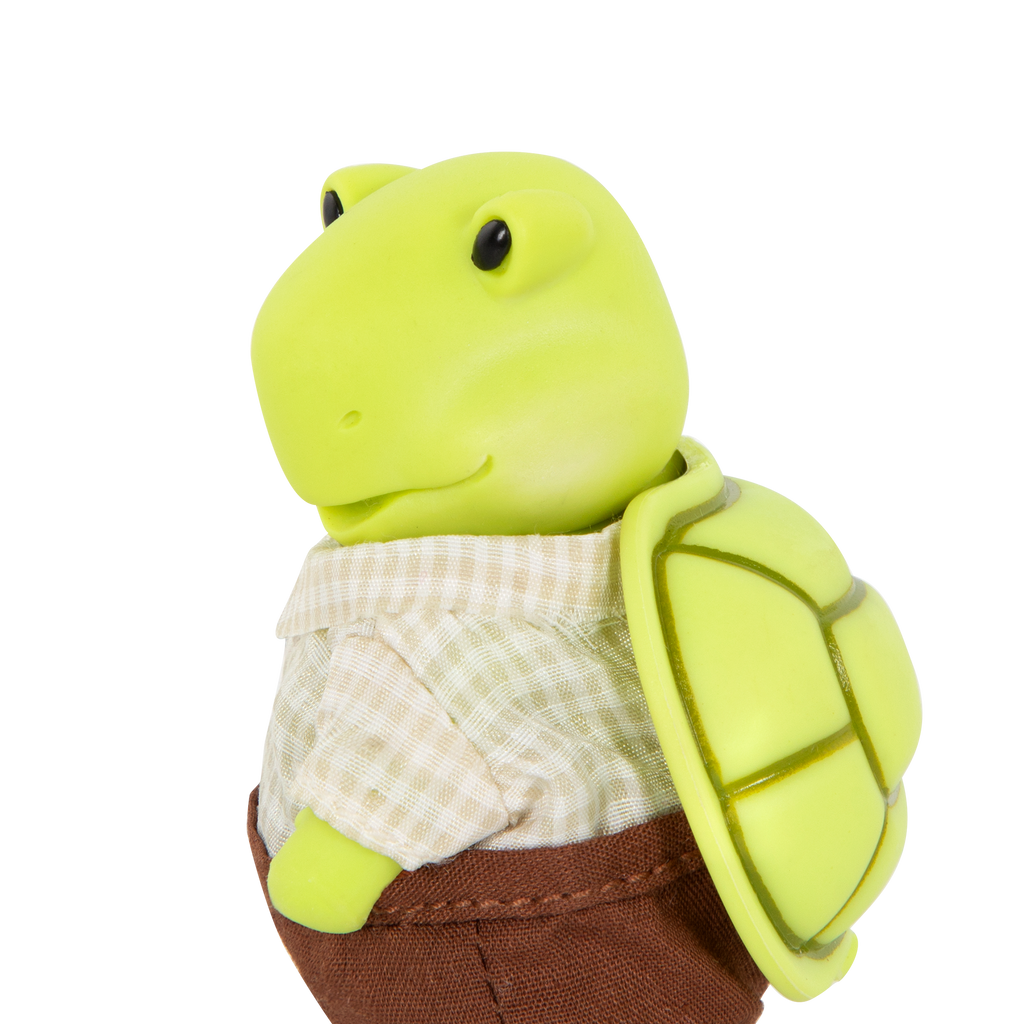 Tidyshine Turtle Family