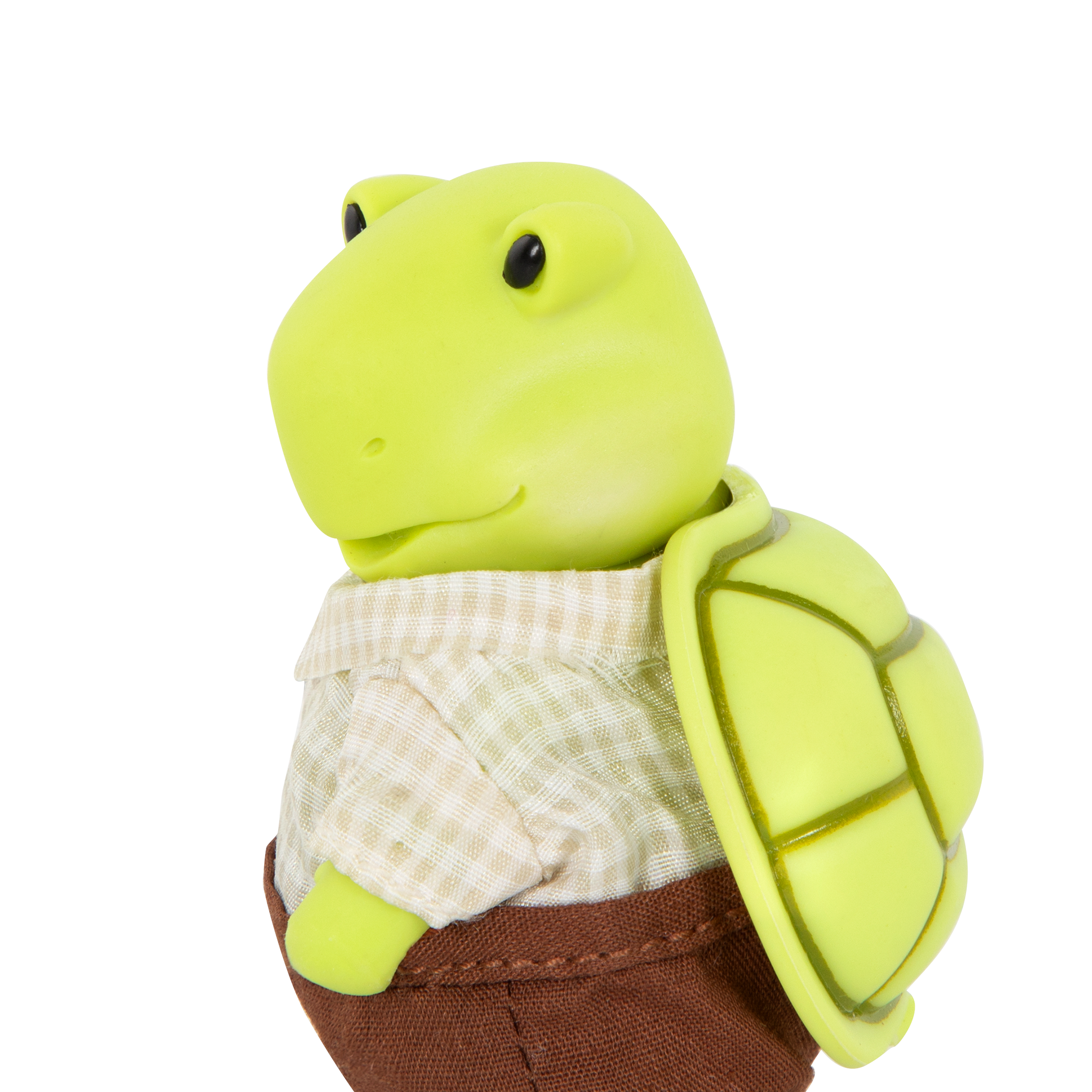 Tidyshine Turtle Family